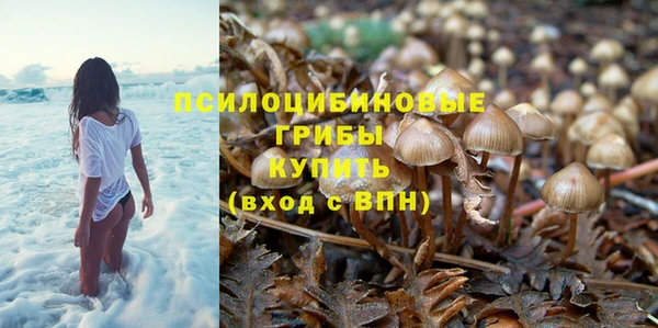 шишки Абинск