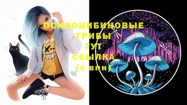 шишки Абинск