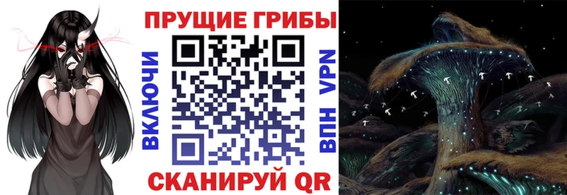 Галлюциногенные грибы Cubensis  Усть-Катав 